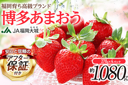 【アフター保証】先行予約 いちご あまおう 1080g（約270g×４パック）【2月上旬から順次発送】 AG010
