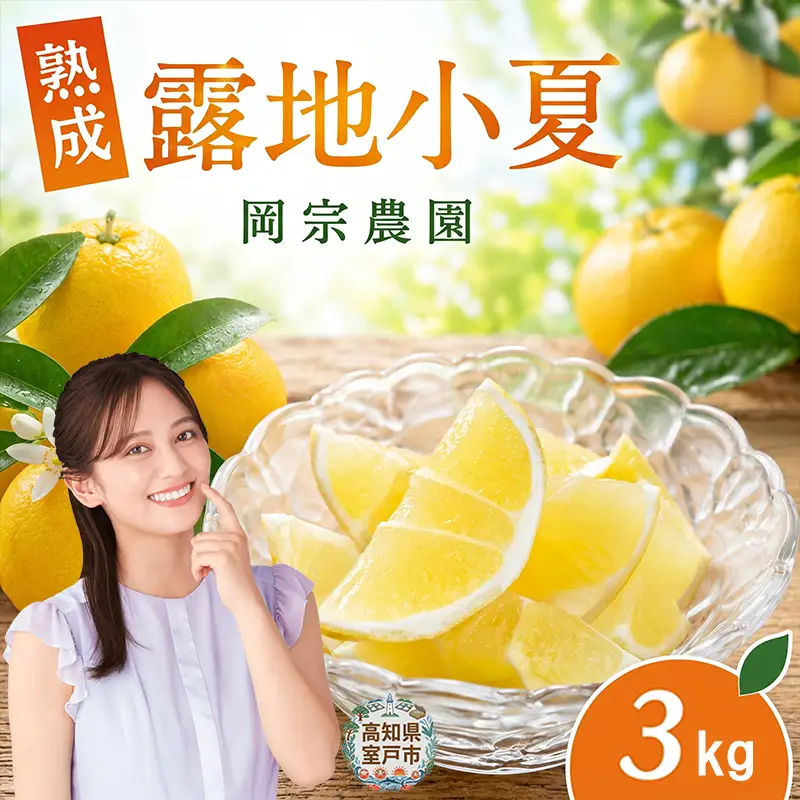 露地小夏 3kg 熟成 小夏
