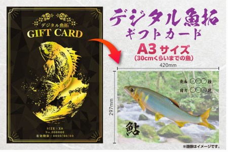 CM-020 【A3・デジタル魚拓ギフトカード】メモリアルフィッシュを釣れたてのままに。