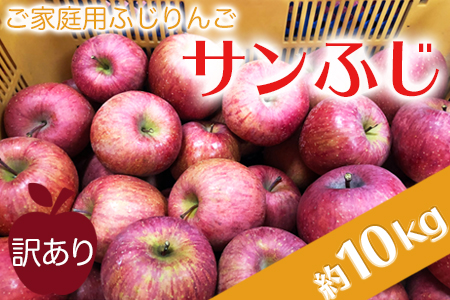 【2027年1月発送】ご家庭用訳ありリンゴ（サンふじ）約10kg_H085(R8)-3