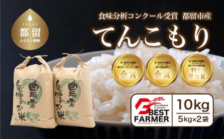 てんこもり10kg（5kg×2袋）＜都留市産＞【令和6年産】こめ　米　おコメ　お米　てんこもり