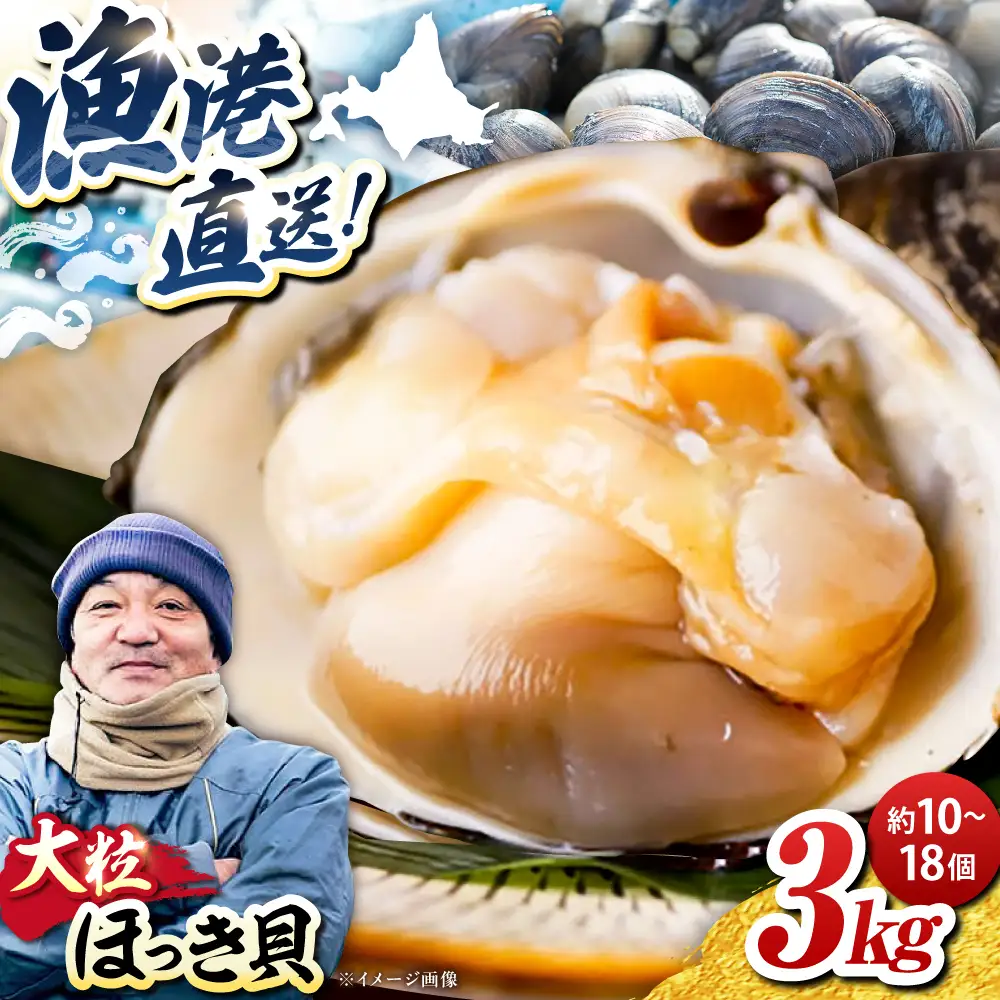 【2026年7月中旬以降順次発送再開】活ほっき貝 3kg 約10〜18個  ホッキ 冷蔵発送 [AXAL003]