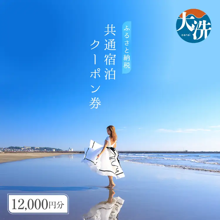 大洗町 共通 宿泊 クーポン 12,000円分（3,000円×4枚） 関東 茨城_AX004