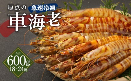 原点の車海老 ｢急速冷凍｣ 600g (18～24尾) 300g×2パック 【2026年10月上旬より順次発送予定】