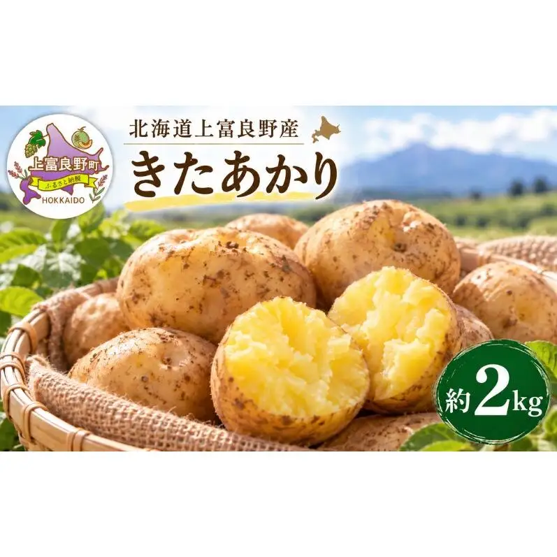 【令和8年産】じゃがいも【きたあかり】Lサイズ 約2kg≪北海道上富良野産≫ 野菜 ポテト 芋 産地直送