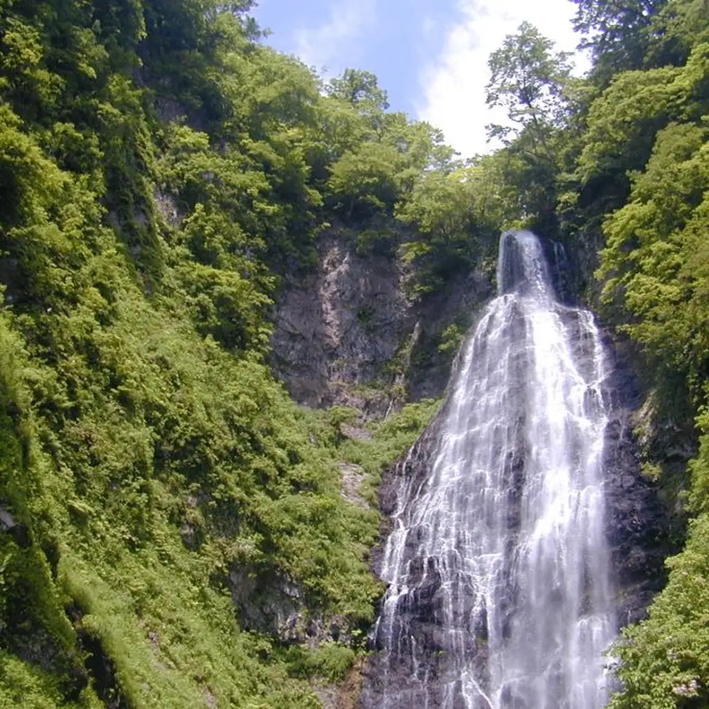 白神山地トレッキング 世界自然遺産 くろくまの滝コース 白神山地トレッキング
