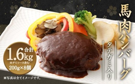 ＜ R8年熊本地震復興支援 ＞タテガミ 入り 馬肉 ハンバーグ (デミソース含む) 200g×8個