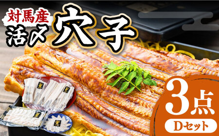 対馬産 活〆 穴子 ３点 セット D 新鮮 あなご 刺身 天ぷら 海鮮 5人前  [WAS004]