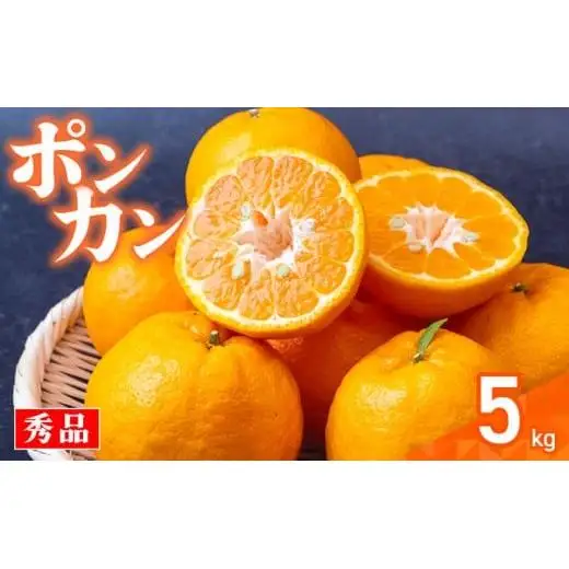 【早期予約】 秀品 須崎産 ポンカン 5kg  