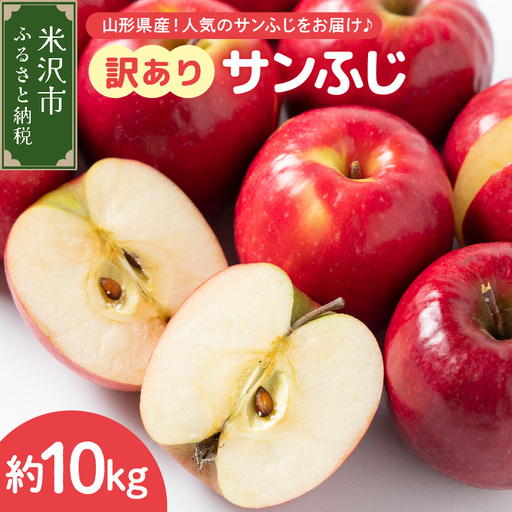 りんご 令和8年産 訳あり りんご サンふじ 約10kg