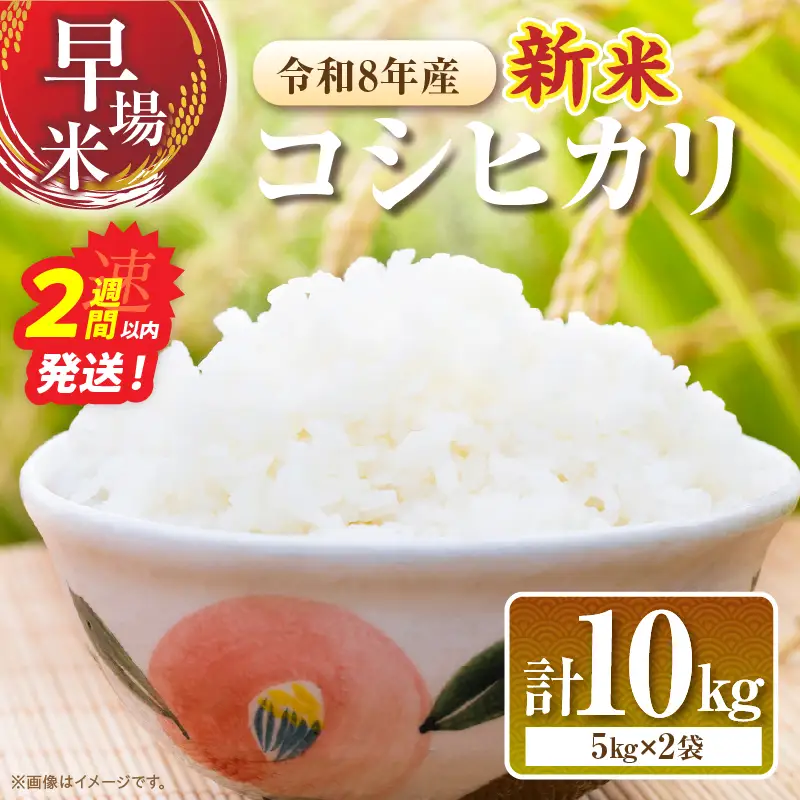 2週間以内に発送 早場米 令和8年産 新米 コシヒカリ 10kg お米 ご飯
