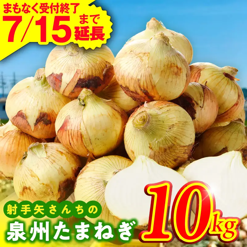 【ふるなび限定】泉州たまねぎ 10kg 玉ねぎ たまねぎ FN-Limited-PR