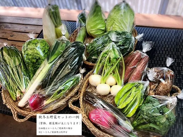 西洋野菜と季節の鹿児島野菜セット（2～3人ご家族用）