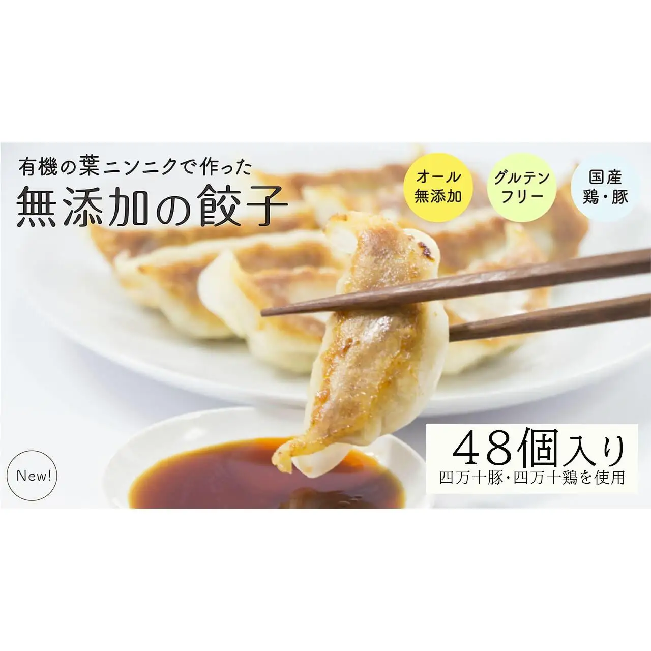 【餃子】葉にんにくと四万十豚で作った餃子(6個入りx8パック）