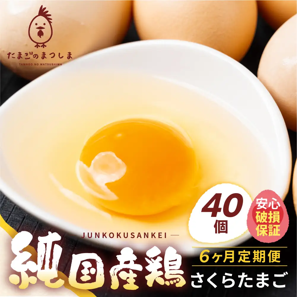 【定期便 6ヶ月】純国産鶏 さくら卵 40個｜卵