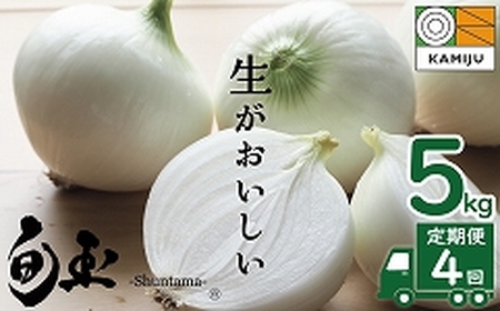 (2027年発送)【先行予約】新玉ねぎ 食べ比べ定期便 生がおいしい 神重農産のブランド玉ねぎ「旬玉」5kg×4回 ブランド玉ねぎ 玉ねぎ 新玉ねぎ 国産 愛知県産 野菜 やさい 農家直送 畑直送 旬 たまねぎ 先行予約 旬 特産 高評価 高リピート 人気 H105-222