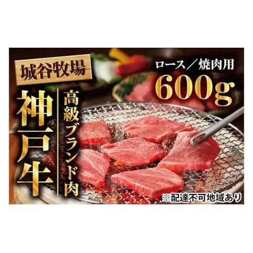 城谷牧場の神戸牛 ロース 焼肉 600g 国産牛 和牛 神戸ビーフ バーベキュー BBQ 冷凍