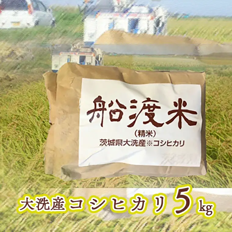 令和8年産 米 コシヒカリ 5kg 船渡米 _AZ005
