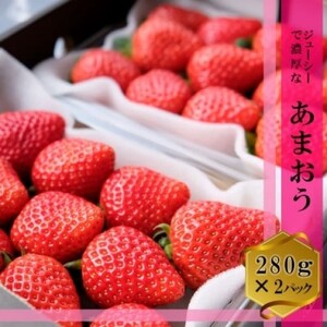 あまおう いちご いちごの王様 福岡県産 あまおう【2パック(280g×2)】