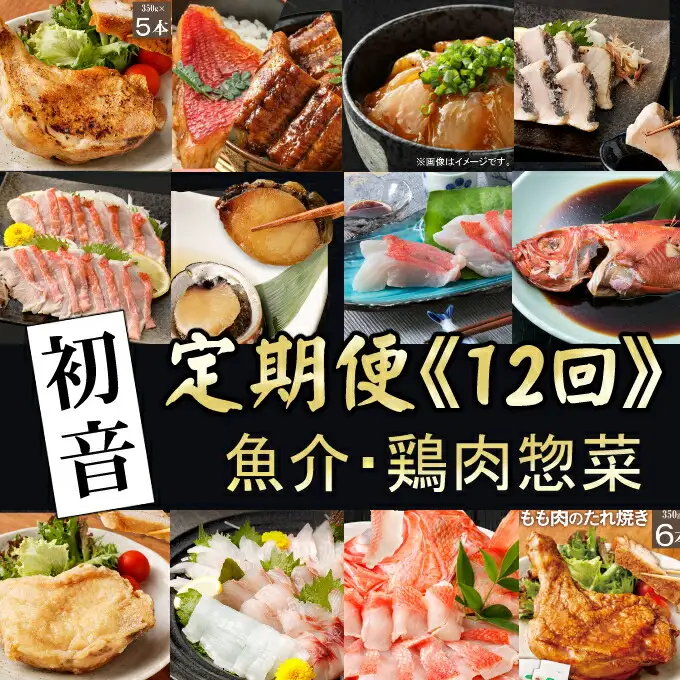 【定期便/12回】 惣菜 定期便 [hn118]