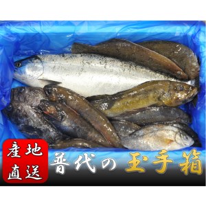 ＜新鮮・産地直送＞普代の玉手箱【魚介詰め合わせ】
