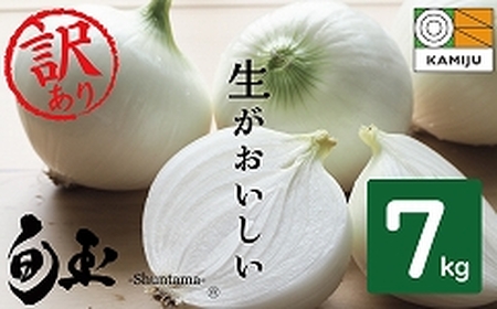 【5/31まで受付】(2027年発送) ≪『満天☆青空レストラン』で紹介されました！≫ 訳あり 新玉ねぎ 生がおいしい 神重農産のブランド玉ねぎ「旬玉」7kg ブランド玉ねぎ 玉ねぎ 国産 愛知県産 野菜 やさい 農家直送 畑直送 旬 期間限定 たまねぎ 旬 特産 高評価 高リピート 人気 H105-201