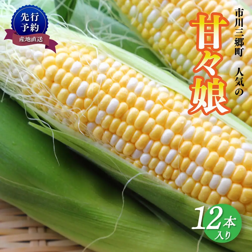 絶品！市川三郷町産甘々娘（とうもろこし）12本入り　5kg箱　【2027年6月上旬から発送】薬袋和幸農園[5839-1459]