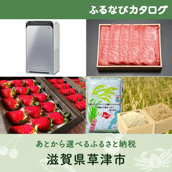 【有効期限なし！後からゆっくり特産品を選べる】滋賀県草津市カタログポイント [9000]