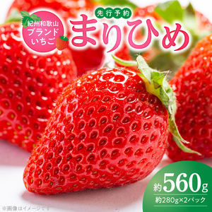 【2027年先行予約】 紀州和歌山ブランドいちご まりひめ 約280g×2P_G7348