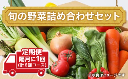 【定期便】旬の野菜詰め合わせセット 隔月に1回(計6回コース)