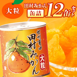 田村みかん 缶詰 12缶セット_AY6003n