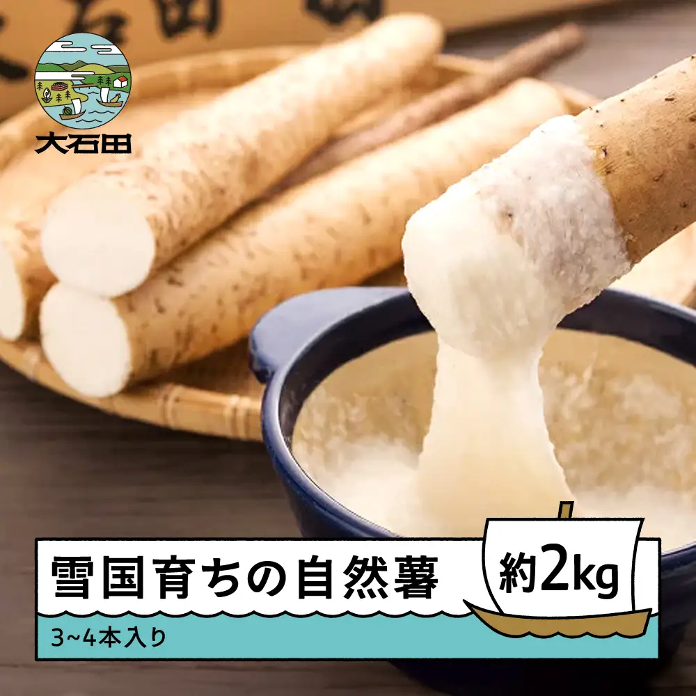 雪国育ちの自然薯 約2kg(3~4本入り) oz-zixxx2