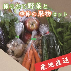 【産地直送】採りたて野菜と季節の果物セット≪旬の野菜 フルーツ 詰め合わせ 栃木県産≫◇