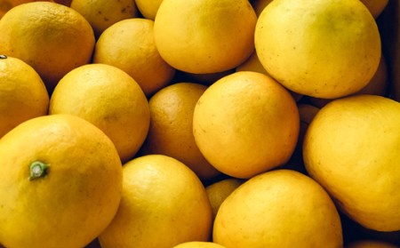 羽賀農園の小夏 5kg（家庭用） 小夏