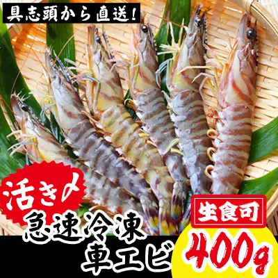 【訳アリ】活き〆急速冷凍車エビ（生食可・約400g）- 海老 車えび 車海老 冷凍 生エビ 国産 養殖 えび天 エビフライ 塩焼き 人気 沖縄県 八重瀬町