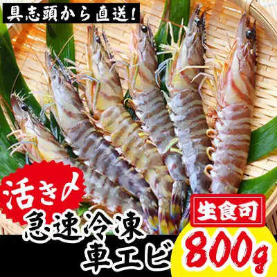 【訳アリ】活き〆急速冷凍車エビ（生食可・約800g）- 海老 車えび 車海老 冷凍 生エビ 国産 養殖 えび天 エビフライ 塩焼き 人気 沖縄県 八重瀬町