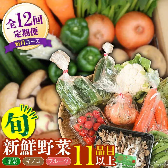【12回】野菜定期便 11品目 野菜セット [SCZ007]
