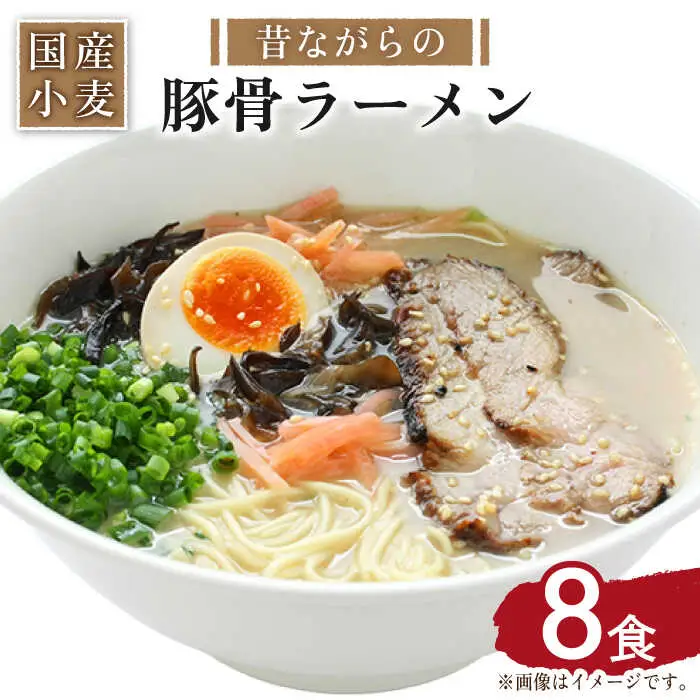 【 国産小麦 100%使用】昔ながらの 豚骨ラーメン 8食 / 南島原市 / こじま製麺 [SAZ020]