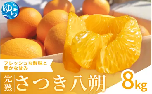 完熟さつき八朔 8kg / はっさく 柑橘 由良町 果物 フルーツ 産地直送 和歌山 ※3月上旬～4月上旬頃に順次発送【kzmn022-r-8】