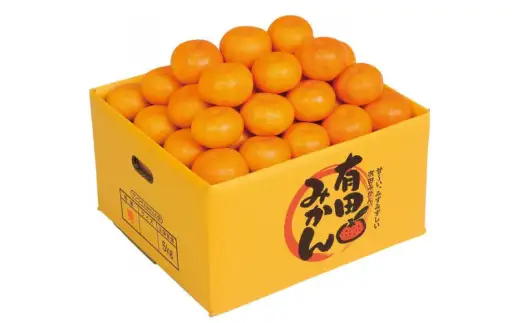 【赤秀ランク】完熟有田みかん 5kg※2026年12月上旬頃より12月下旬頃に順次発送 /  有田 ミカン 蜜柑 プレミアム 秀品 フルーツ 果物 柑橘 和歌山県 由良町【stmr004-p-5】