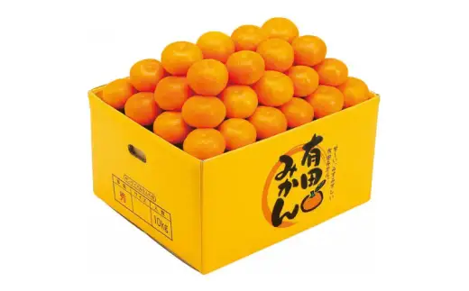 【赤秀ランク】完熟有田みかん 10kg※2026年12月上旬頃～12月下旬頃に順次発送予定 /  有田 ミカン 蜜柑 プレミアム 秀品 フルーツ 果物 柑橘 和歌山県 由良町 【stmr004-p-10】