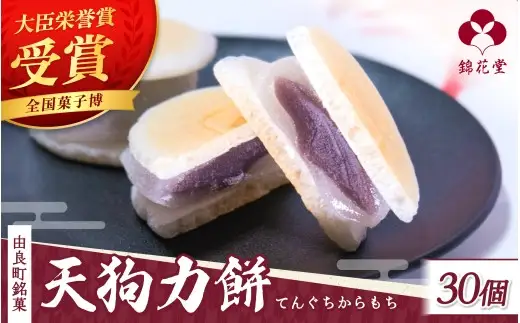 老舗の味 天狗力餅30個入　和菓子　力もち　こし餡　職人の手作り / 銘菓 和菓子 こしあん 由良町 お取り寄せ お土産 ギフト 和歌山県【knkd003】