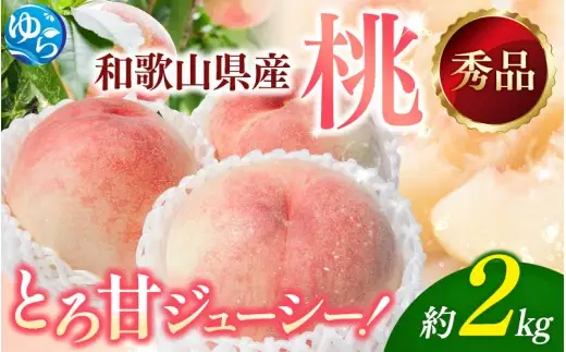 朝採れ 和歌山 桃　約2kg 秀品 ※2026年6月下旬～8月上旬頃順次発送予定 【tec910B】
