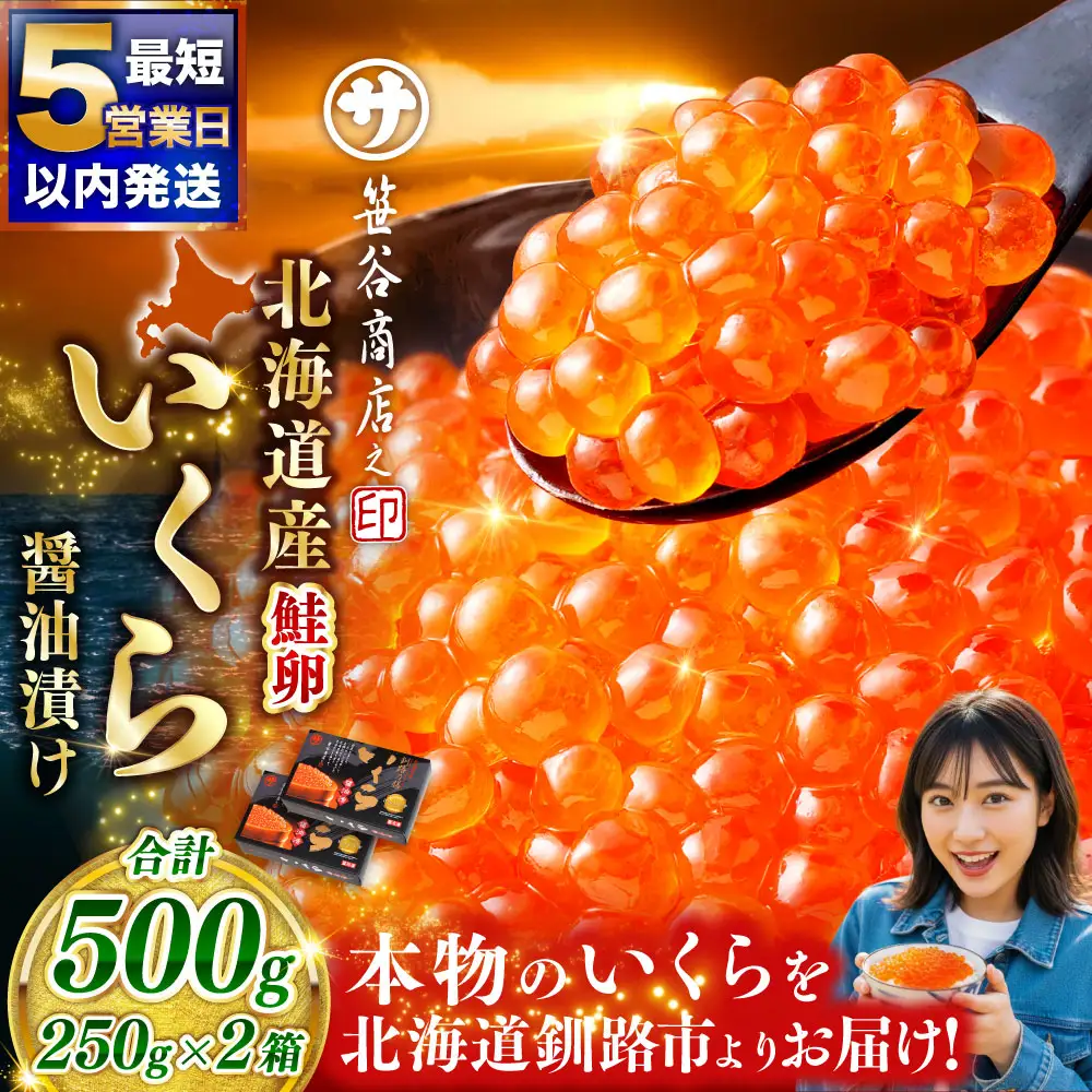 【5営業日以内発送】北海道産いくらしょう油漬250g×2箱 ふるさと納税 いくら