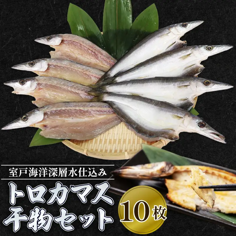 カマス 干物 10枚 国産 カマス