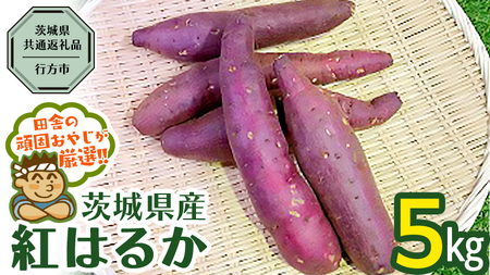 べにはるか 5kg （茨城県共通返礼品 [さつまいも]：行方市産）
