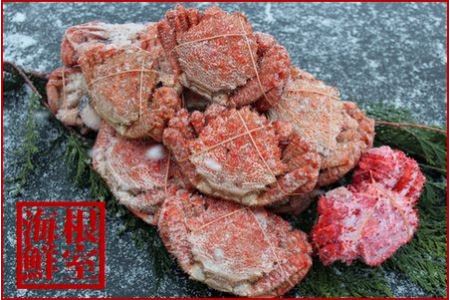 【北海道根室産】クリガニ13～17尾(計4kg前後)、花咲ガニ1尾 C-57026