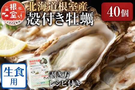【北海道根室産】貝付き牡蠣40個 C-54008