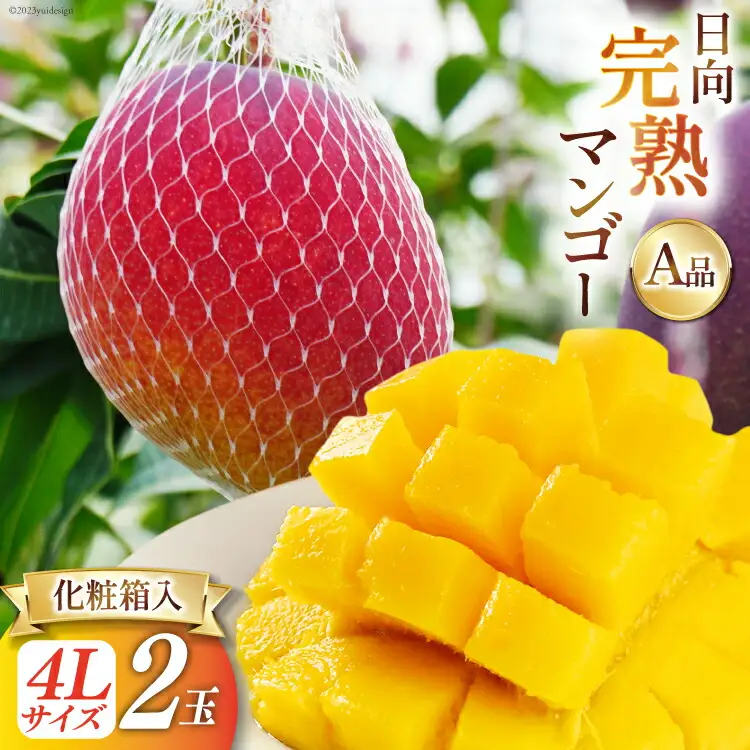 【2027年夏発送】 宮崎 完熟 マンゴー 秀品 A品 4L×2玉 化粧箱入り