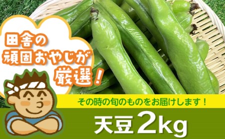天豆2㎏【令和3年3月から順次お届け】 そら豆 野菜